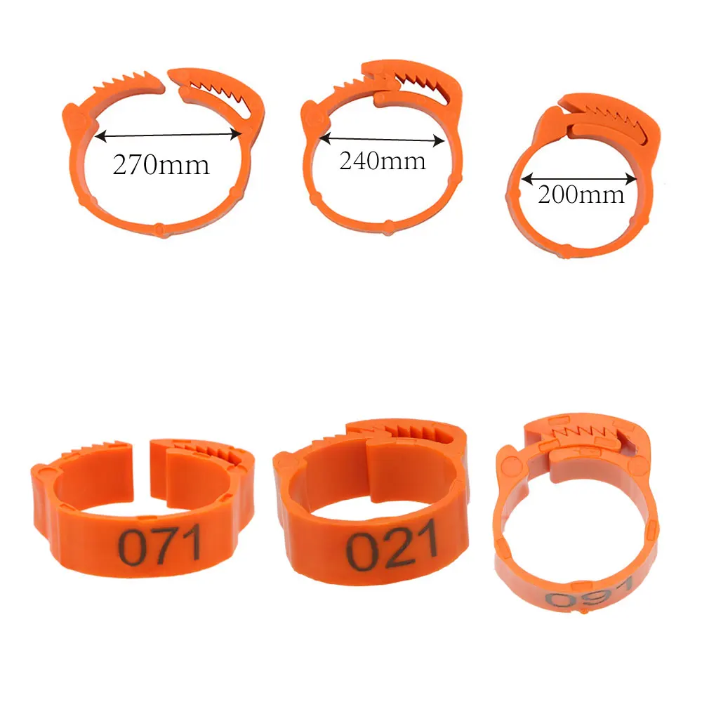 HILIFE 100Pcs/set Buckle Ring Foot Ring Color Randomly Adjustable Leg Digital Label For Chicken Duck Pigeon
