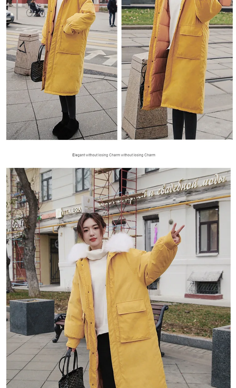 8821Cotton_11.jpg