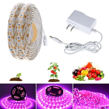 

Plant Vegetable Growth Light 2m Waterproof Full-Spectrum LED Light Stripe 12v Flower Plant Lamp Used in Greenhouse Grow in Water