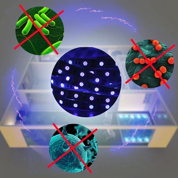 

UV led strip light 5050 60 LEDs disinfection light led strip 5 meters disinfection light Sterilizer Mites bedroom living room