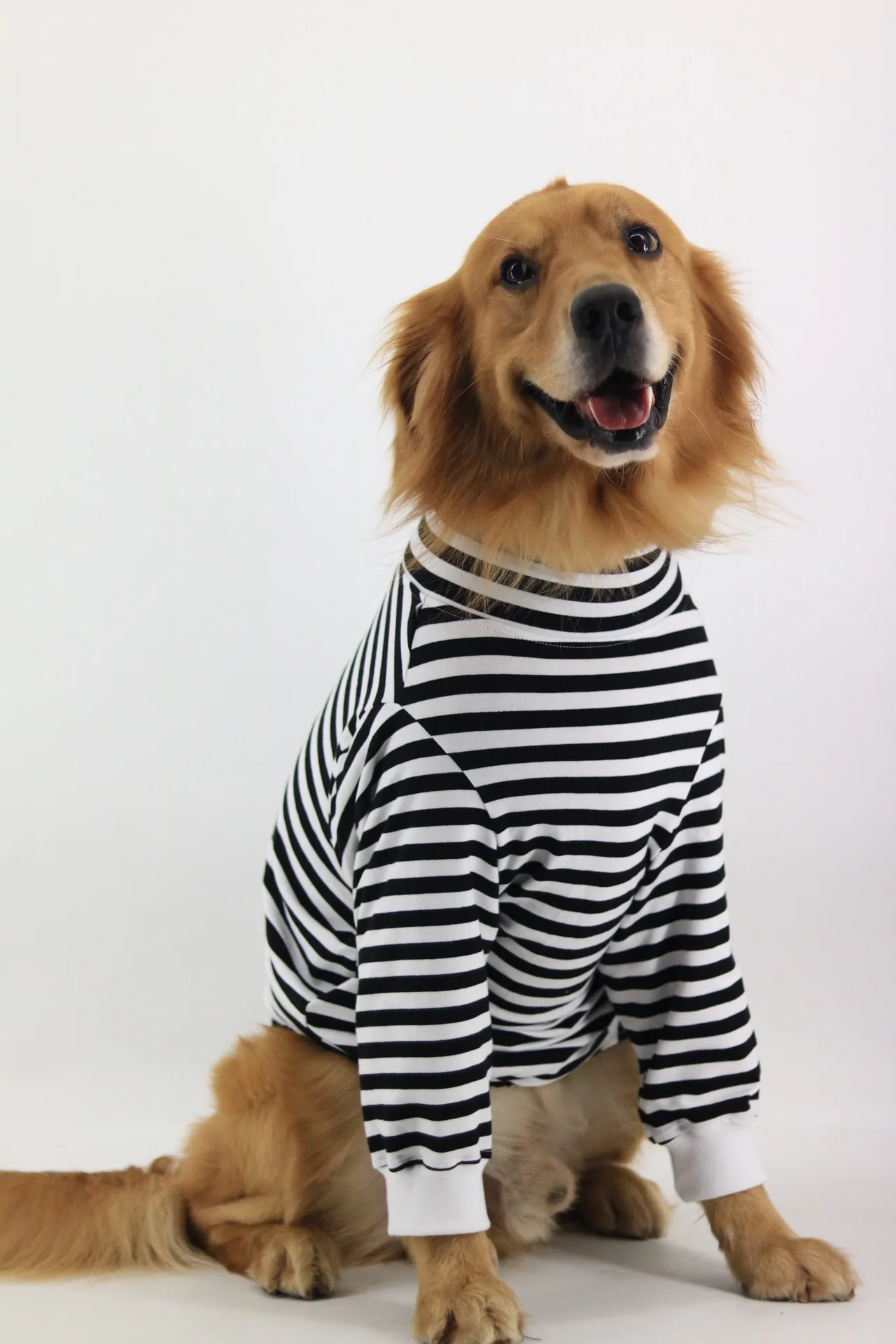 Large-Dog-Clothes-Cotton-Striped-Long-sleeved-High-neck-Bottoming-Shirt-Golden-Retriever-Labrador-Doberman-Dog.jpg Nagy Kutya Ruhák Pamut Csíkos, Hosszú Ujjú, Magas Nyakú Alsó Ing Arany Retriever Labrador Doberman Kutya Ruha Kutya Ing - Image 2