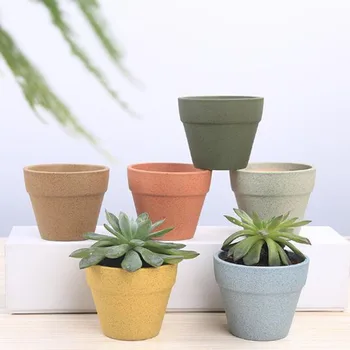 

Coarse Pottery Candy Color Flowerpot Breathable Succulent Plant Pot Simple Style Planter Fleshy Container Desktop Ornaments