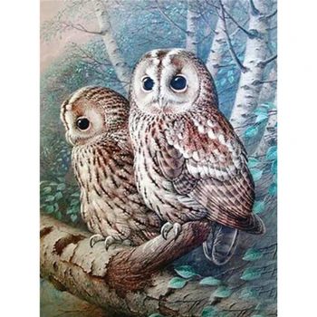 

5D DIY Diamond Embroidery Owl Full Square Animal Diamond Painting Full Square Mosaic Picture Of Rhinestone Home Decor