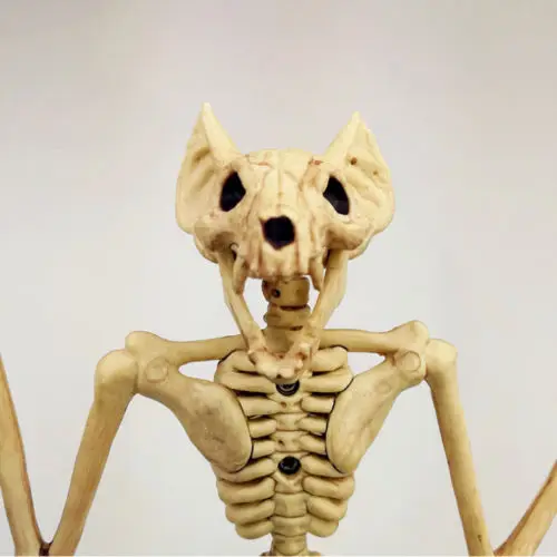 

Halloween Deco Bat Skeleton Hanging Upside Down Horror Animal Prop Haunted House Decor Creepy Lifelike Festival Decor Party