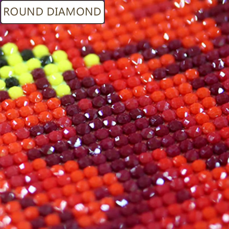 DIY Diamond Painting Make Your Own Full Round/Square Drill Rhinestone Embroidery DZ01 diamond painting