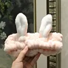 Ivory Rabbit