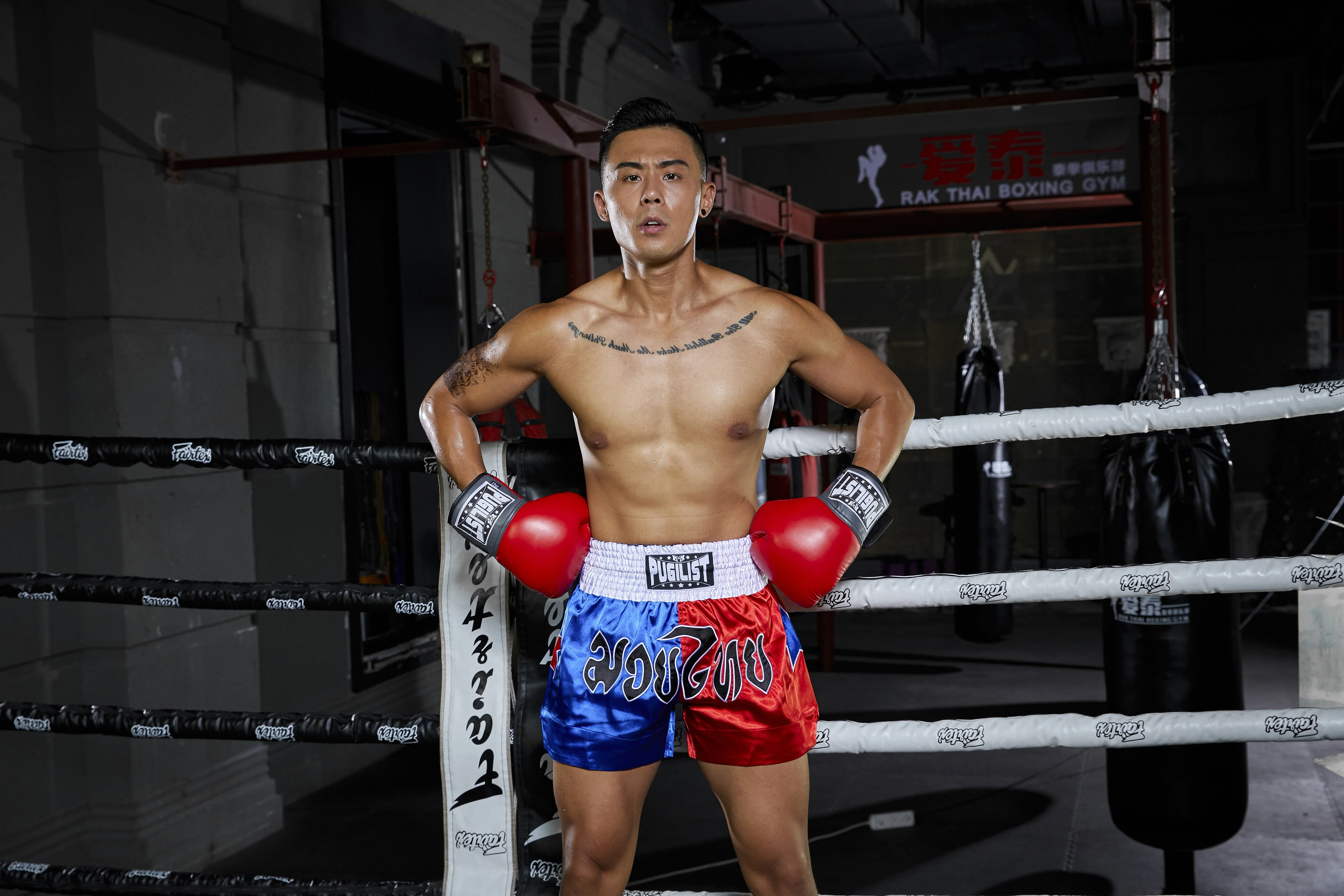 PUGILIST пять звезд серии Муай Тай брюки mma шорты для единоборств фитнеса боевых искусств тренировки бокса