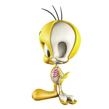 4D Xxray мастер Tweety канарейка Mighty Jaxx Джейсон Фрей Анатомия мультфильм