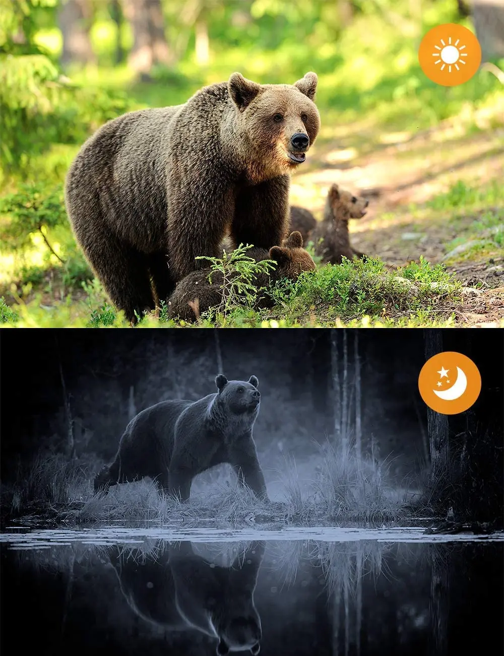 71Sqjk-BLtL._AC_SL1300_