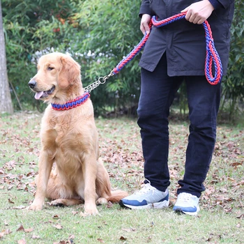 

Buckle Color Pet Traction Rope Collar Set For Big Dogs Double Strand Rope Large Dog Leashes Metal Chain S/M/L/XL
