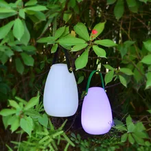 

Outdoor Indoor Light Up Portable LED Decorative Table Garden Lamps USB Rechargeable Lights Personalized Gift Bedside Lamp Luz B