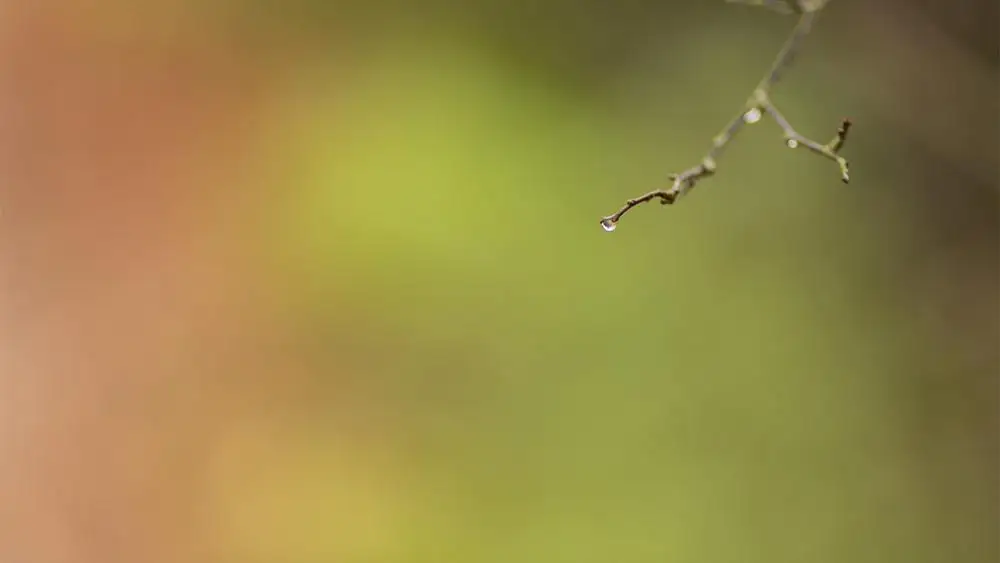 

DiyArts 1 Pcs/lot Metal Cutting Dies Scrapbooking For Card Making DIY Embossing Cuts New Craft Die Small Fish Element