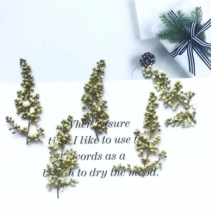 Жемчужные бутоны тисненые сушеные цветы подходят для самостоятельной сборки