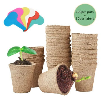 

50Pcs Circular Fibre 8cm Plant Pots Biodegradable Seedling Pots Greenhouse Accessories Small Plant Trays with Plant