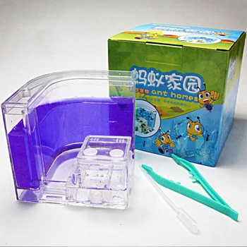 

New Hot DIY with feeding area ant nest ,ant farm acrylic, insect ant nests villa petmania for house ants