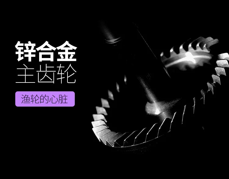 8810931778_1698297231