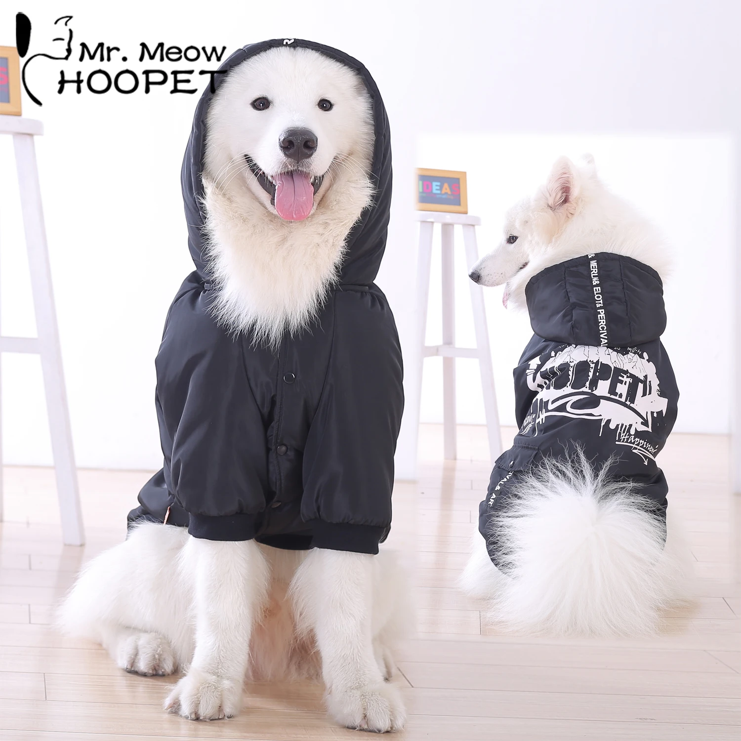 Dog Clothing Stores Online informacionpublica.svet.gob.gt