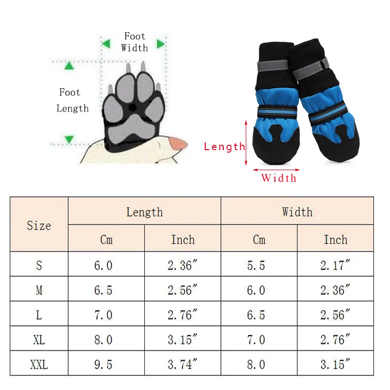 How Do You Measure A Dogs Shoe Size