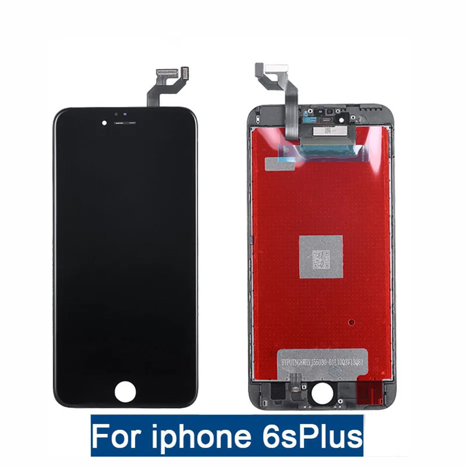 6sp