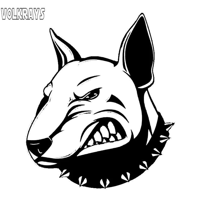 angry bull terrier