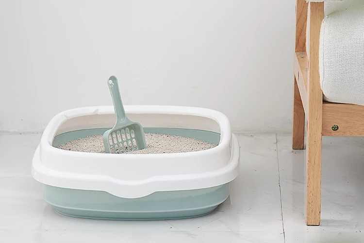 11650987183_446876995