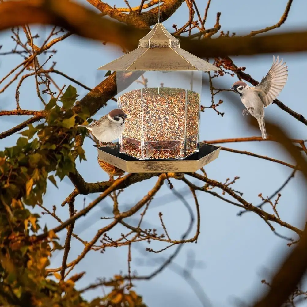 Mangeoire Pour Oiseaux Sauvages 1 Pièce, Conception Résistante Aux  Intempéries Pour Un Nettoyage Et Des Recharges