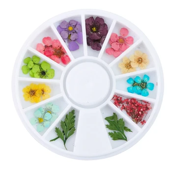 

Mixed Natural Nail Dried Flower Diy 3D Pressed Blossom Flower Leaf Slider Sticker Polish Manicure Nail Art Decorations