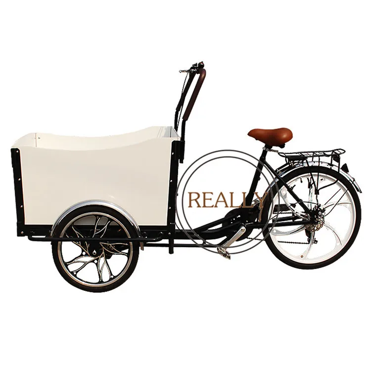 Bicicleta da Carga do Fazer Elétrica da Carga da Família Compras Bicicleta Elétrica Rl-t05a - 7 Processadores de alimentos