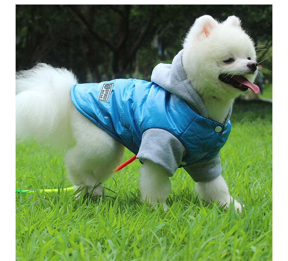 亮光小棉袄详情_10