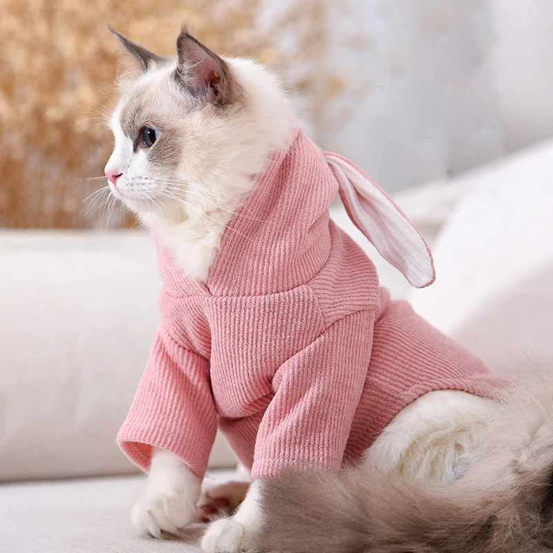 cat clothes aliexpress