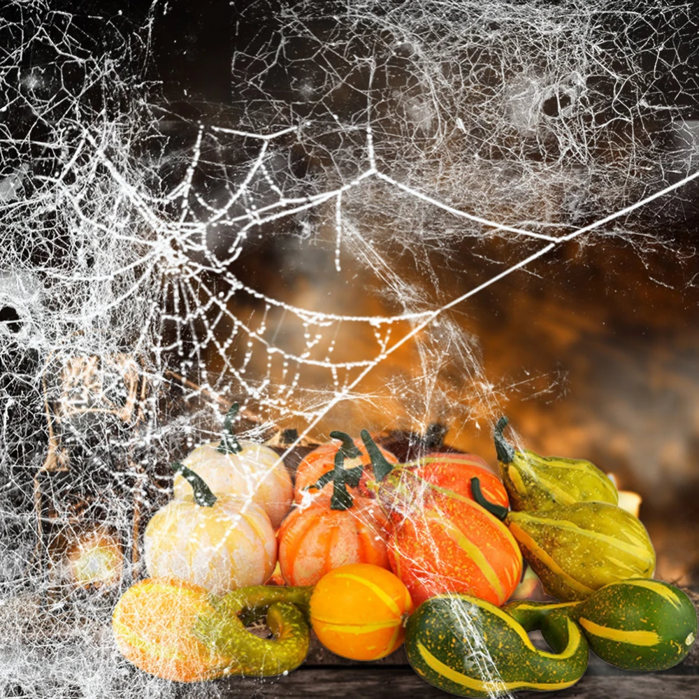 Package of 6 Assorted Artificial Frosted Gourds and Pumpkins