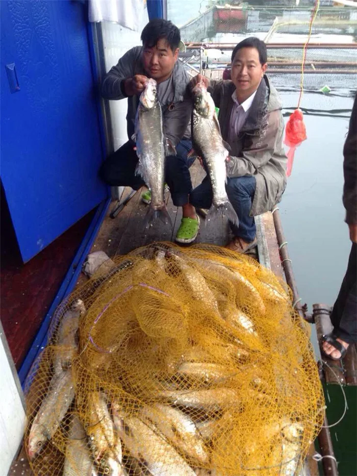 Проходы, 8 шт. в упаковке, плотное удилище, регулируемое, Раздельный плот, рыболовное грузило, микро свинец, регулируемое, свинцовое грузило, нити, вес свинца