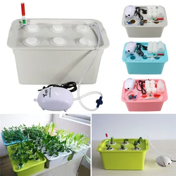 

Function A Set Nursery Pots Plant Site Hydroponic Boxes Systems Kit 6 Holes Soilless Cultivation Box Plant Seedling Grow Box Kit