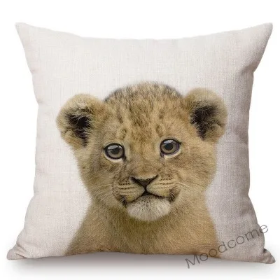 conew_t215 (30) 副本