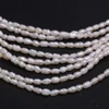 Natural Freshwater Pearl Beaded High Quality Rice Shape Punch Loose Beads for Make Jewelry DIY Bracelet Necklace Accessories ► Photo 2/4