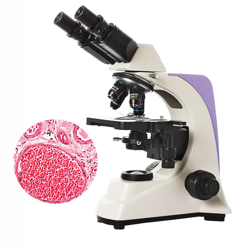 

2500X Professional HD Binocular Biological Microscope School Lab Teaching Scientific Research Microscope