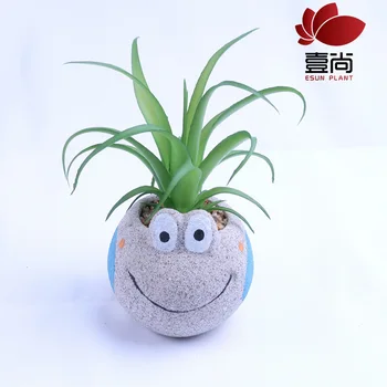 

Creative Bonsai Desktop Artificial Succulent Pant Fake Decoration Micro Landscape Simulation Succulents Green Vegetation Small B