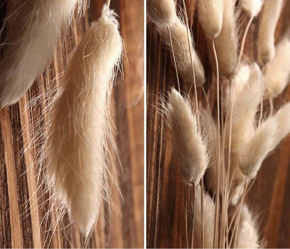 dried natural flower  (9)