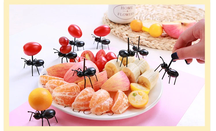 5862109590_2039239694