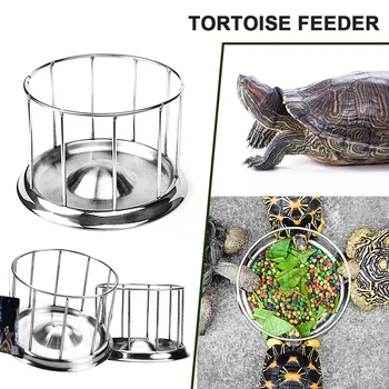 

Food Dispenser Tortoise Feeder Bowl Feeding Tool Semi-water Pet Supply Home Aquarium Water Dish Stainless Steel Multifunction