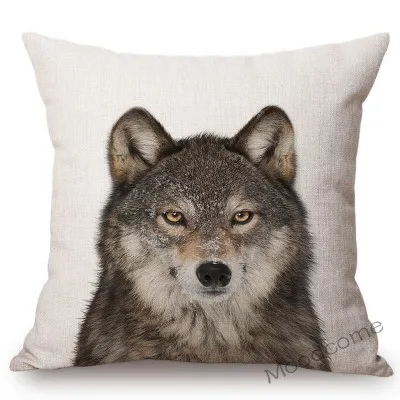 conew_t215 (7) 副本