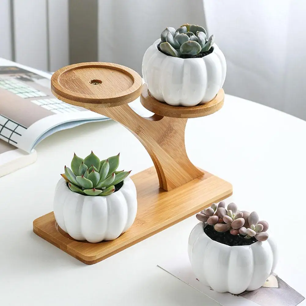 

Pumpkin Shape Ceramic Succulent Plant Flower Pot Planter Holder Bamboo Shelf