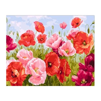 

corn poppy Frameless Diy Painting By Numbers Flowers Wall Art Picture By Numbers Calligraphy Painting