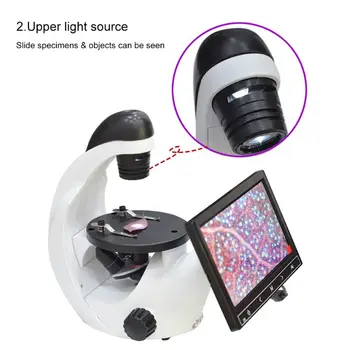 

Monocular Inverted Microscope Triple 4x 10x 20x Coarse 40x-320x for Educational 35ED