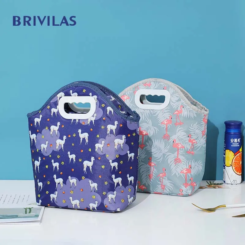 Brivilas-fiambrera de mano con agujero redondo para mujer, bolso térmico para comida, para el desayuno, picnic, oficina, divertido, a la moda