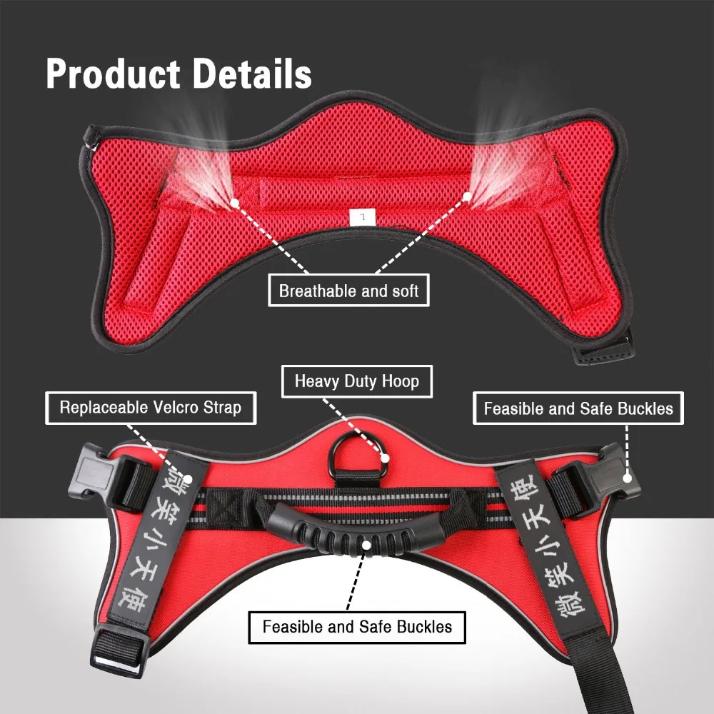 ebafc2742abd7a330078a6c049e99c1