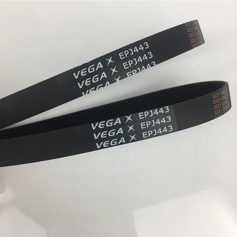 VEGA BLACK BELT