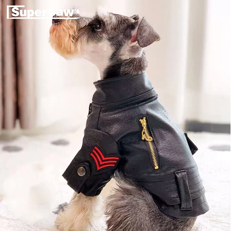 small dog leather jacket