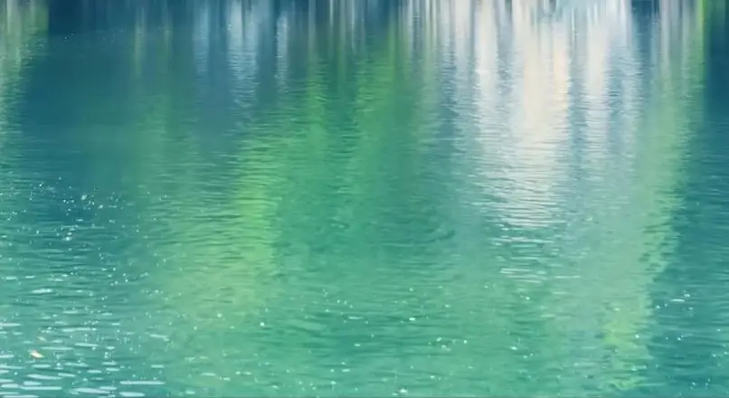 QQ截图20191014215628