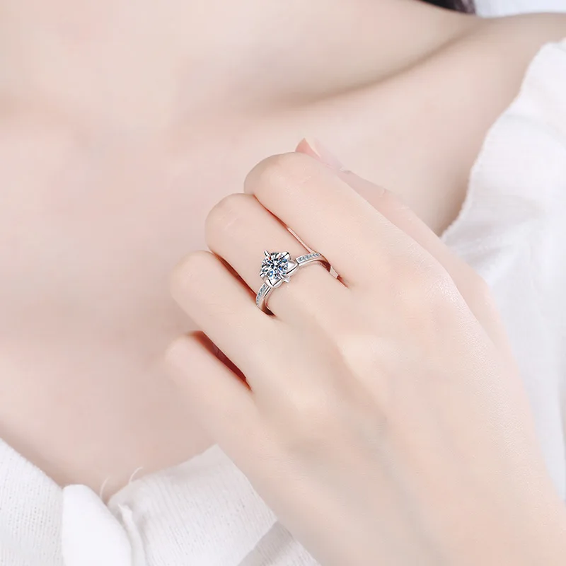 21840619551_1262348623